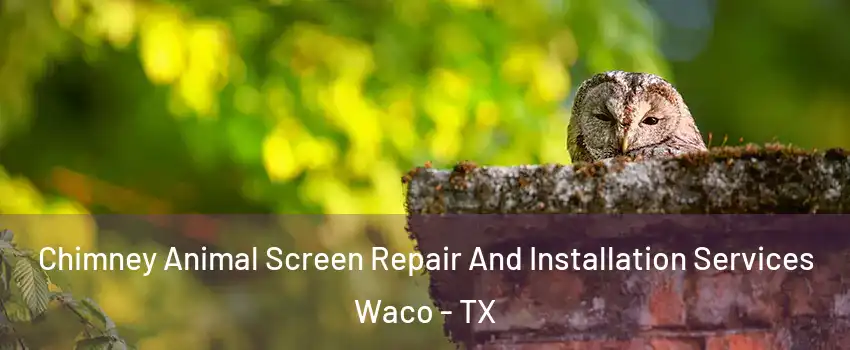  Chimney Animal Screen Repair And Installation Services Waco - TX