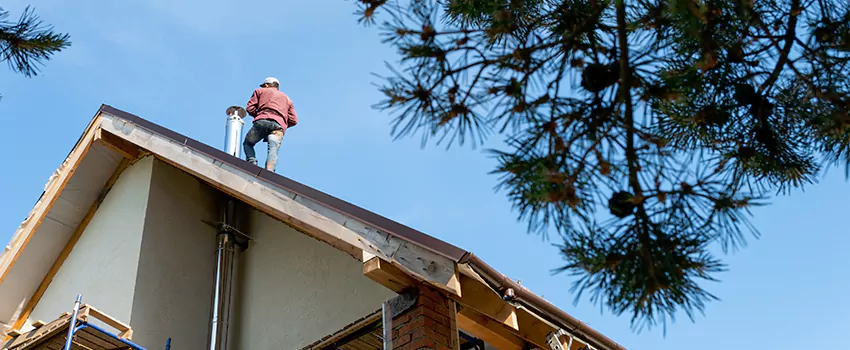 Birds Removal Contractors from Chimney in Waco, TX