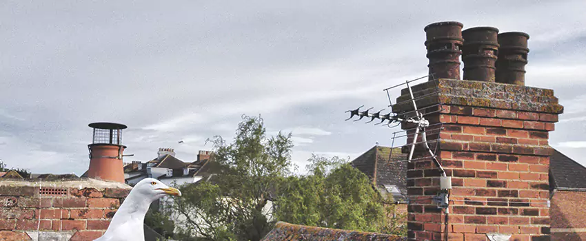 Chimney Cleaning And Restoration in Waco, Texas