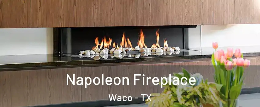  Napoleon Fireplace Waco - TX